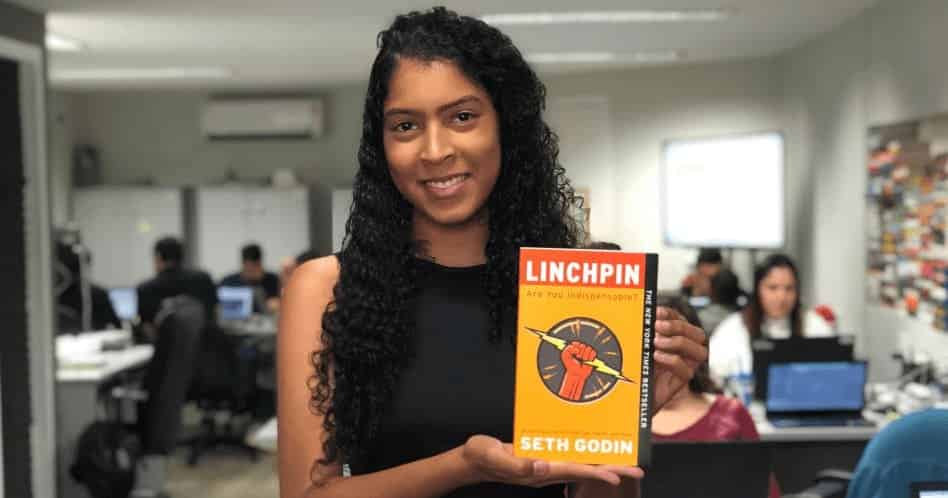 Linchpin - Seth Godin